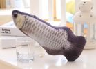 Cat toy;  imitation fish toy;  pet;  plush cat;  mint fish;  cat;  carp toy